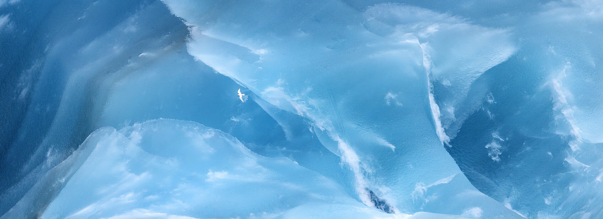 Iceberg